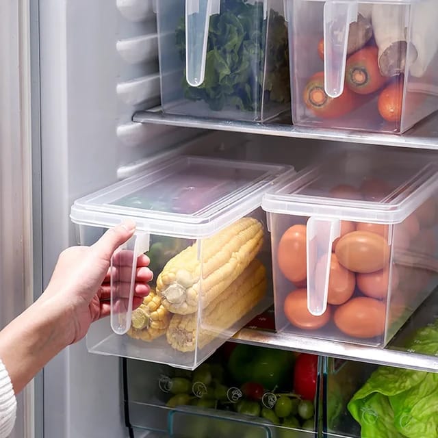 Organizador Multiusos con Tapa y Manija (40% de descuento SOLO POR HOY)