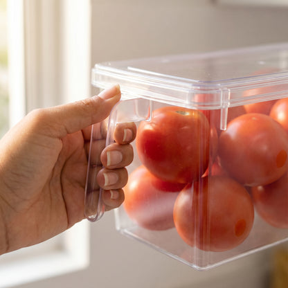 Organizador Transparente Multiusos Con Tapa y Manija